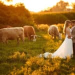 Couple embracing in a sunset field.