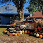 Rustic shed with autumn decorations.